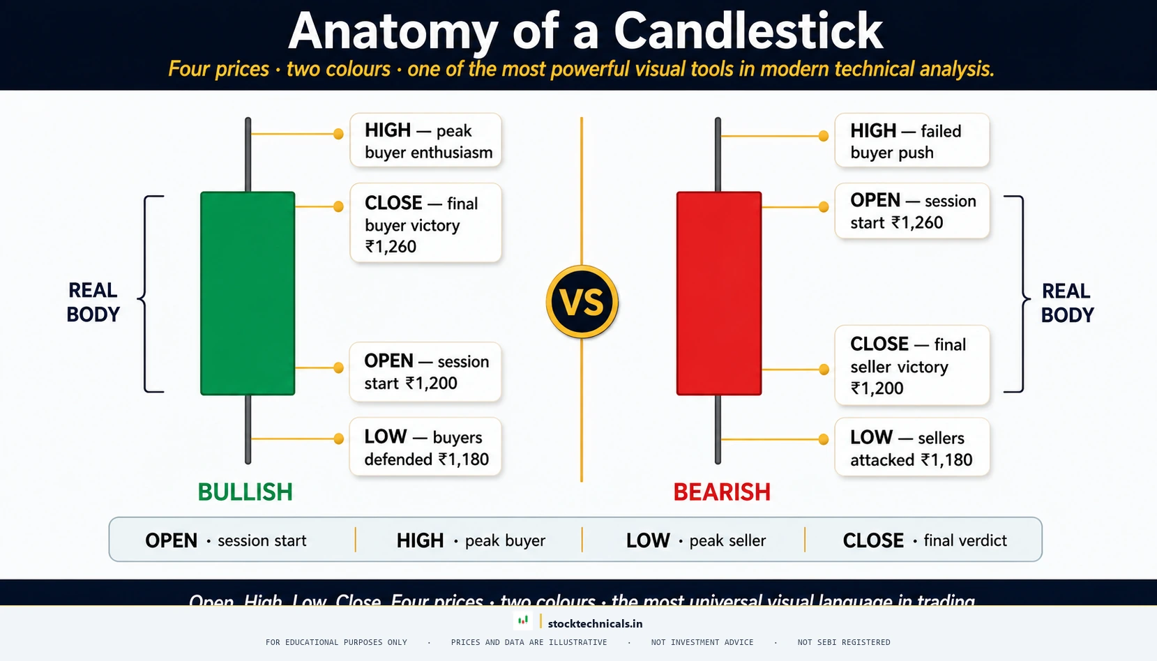 CINEMATIC FEATURED HERO (Magnified Anatomy) — stocktechnicals.in